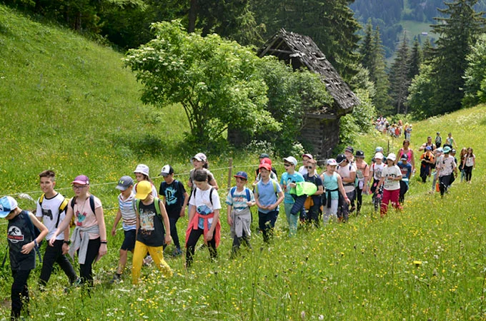116 muntele-un-prieten-la-inaltime-tabara-de-vara-modus-vivendi